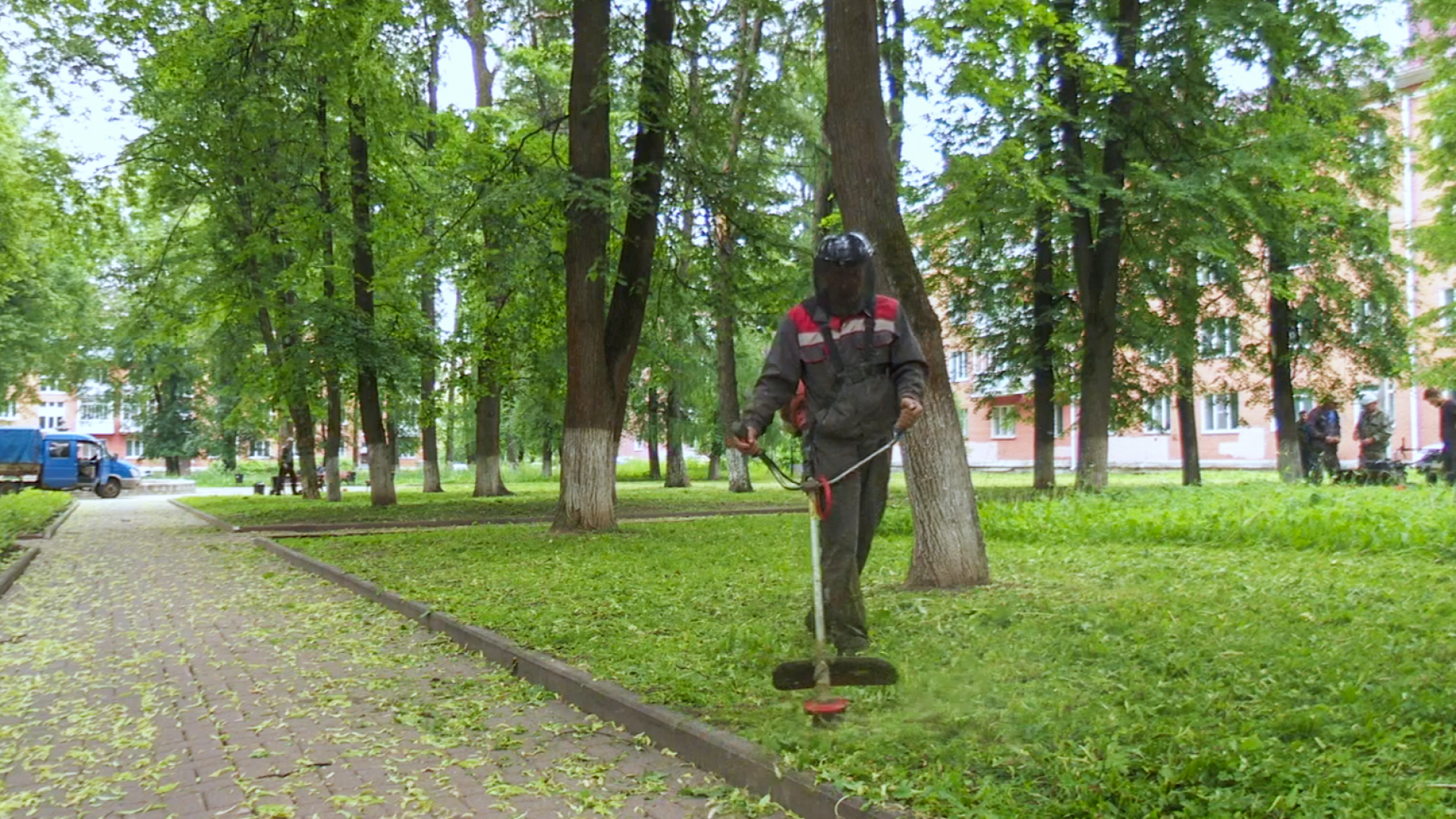 Клин, общество, ЖКХ, покос травы,