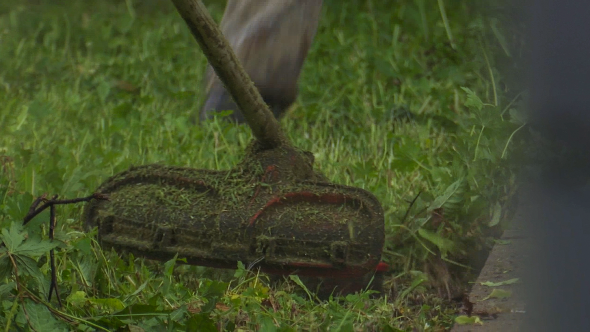 Клин, общество, ЖКХ, покос травы,