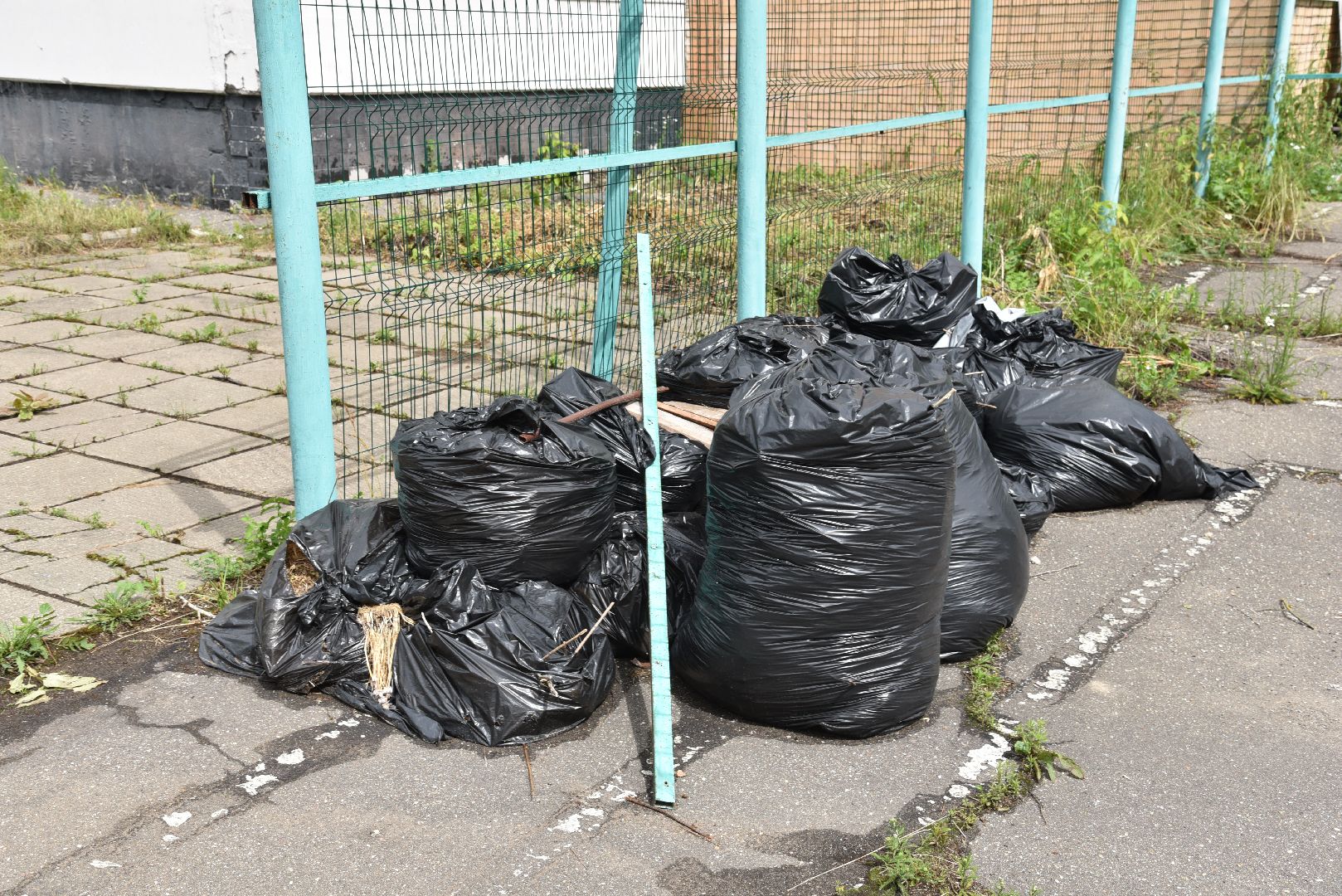 лотошино, лотошинский ддт, кировский, образование, дом детского творчества,