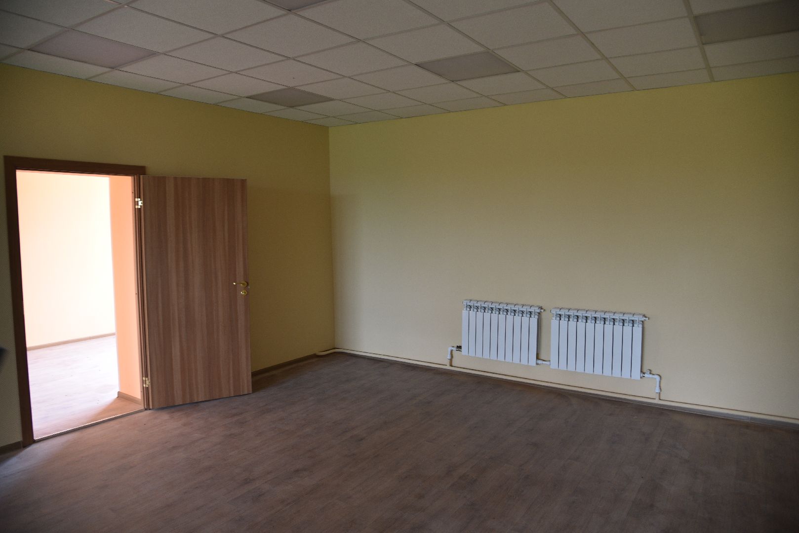 лотошино, лотошинский ддт, кировский, образование, дом детского творчества,