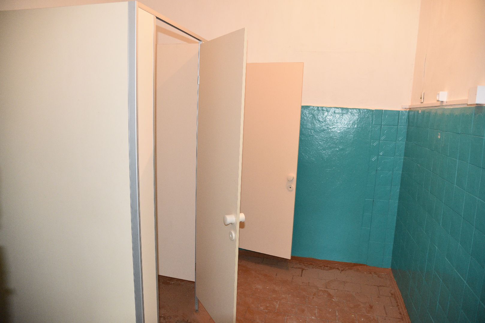 лотошино, лотошинский ддт, кировский, образование, дом детского творчества,