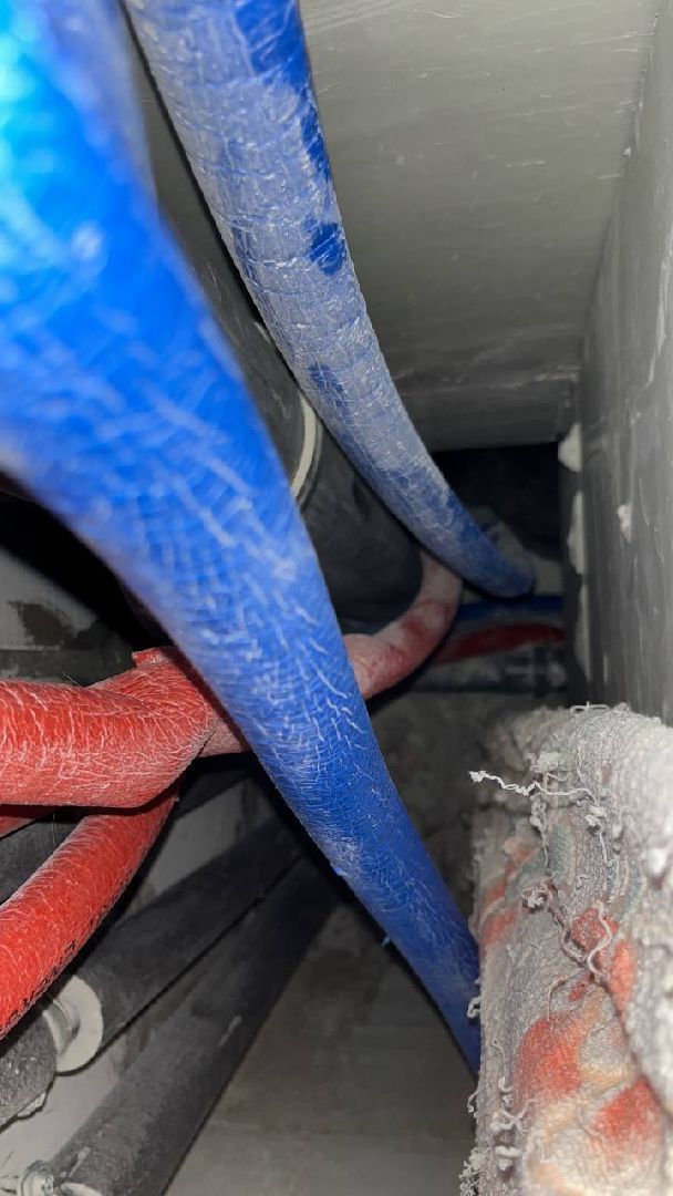 Балашиха Подмосковье, Мособлпожспас, животные, 112, спасатели