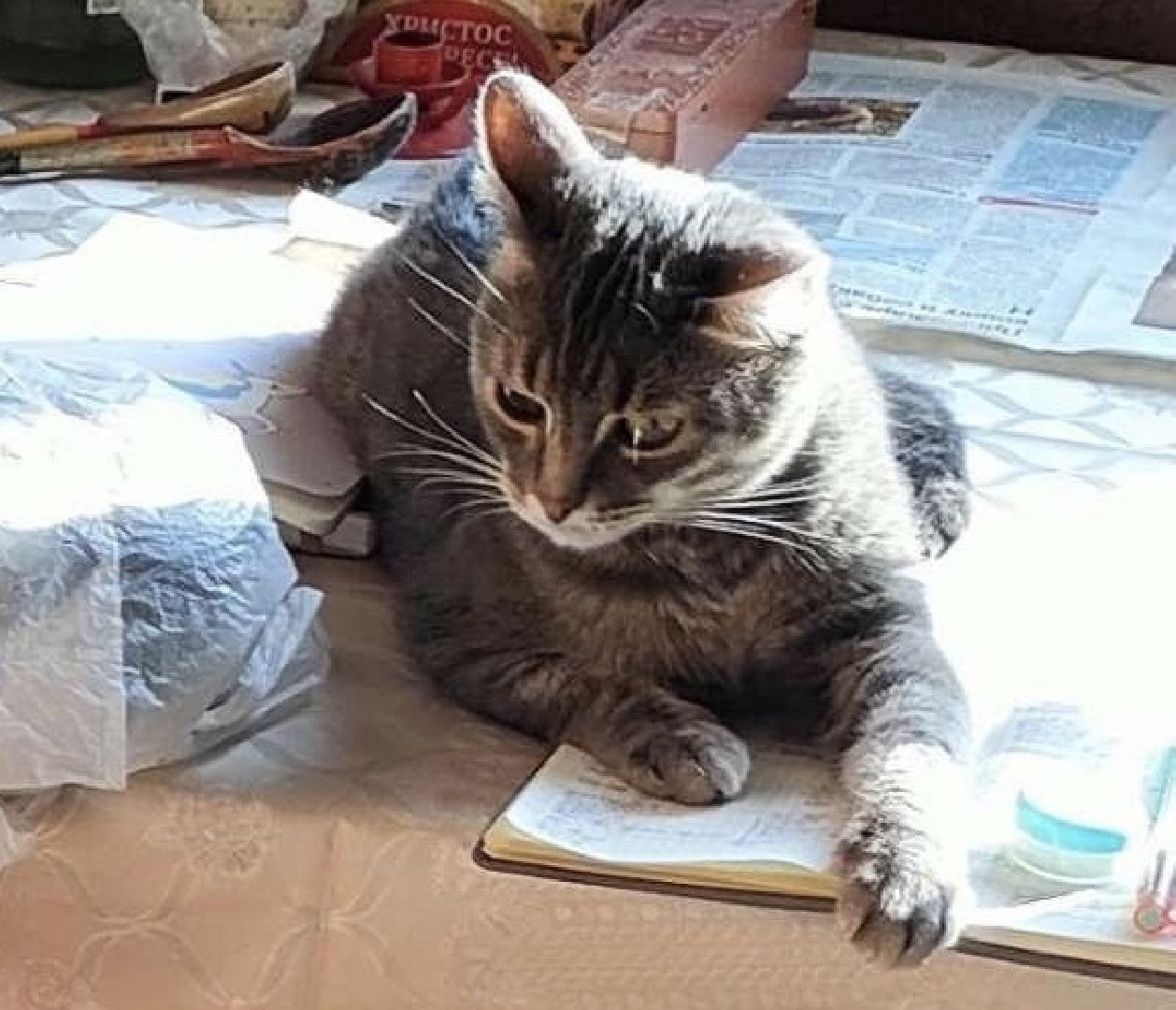 Балашиха Подмосковье, Мособлпожспас, животные, 112, спасатели