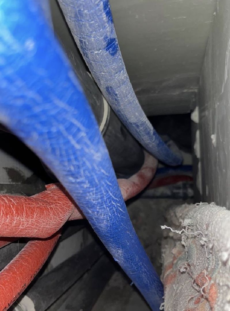 Балашиха Подмосковье, Мособлпожспас, животные, 112, спасатели