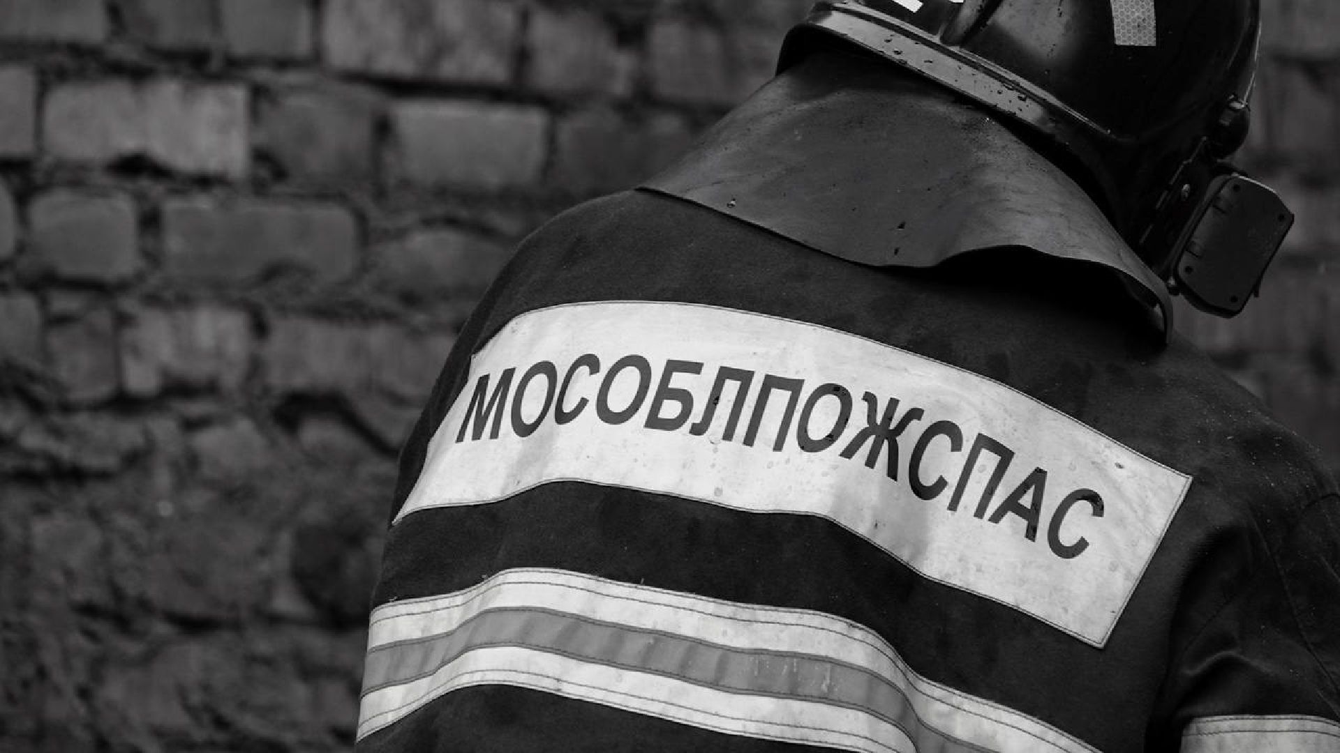 ЧП, Пожар, Лес, Гаражи, Лесная охрана, Мособлпожспас,