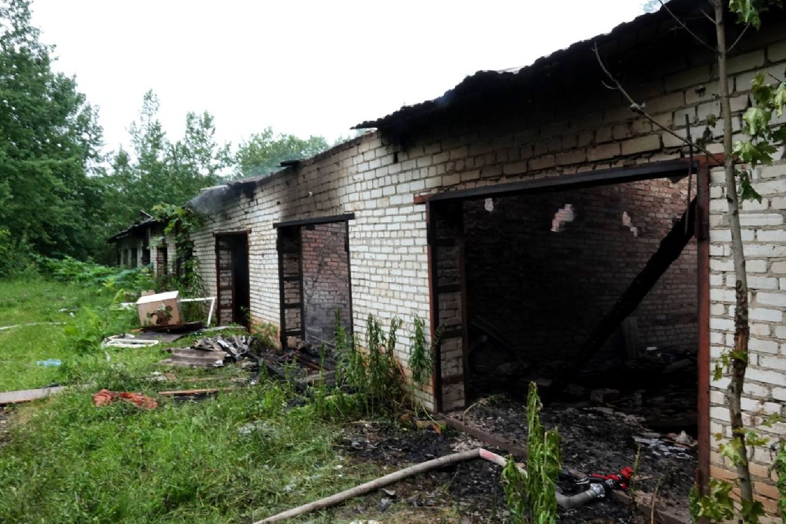 ЧП, Пожар, Лес, Гаражи, Лесная охрана, Мособлпожспас,