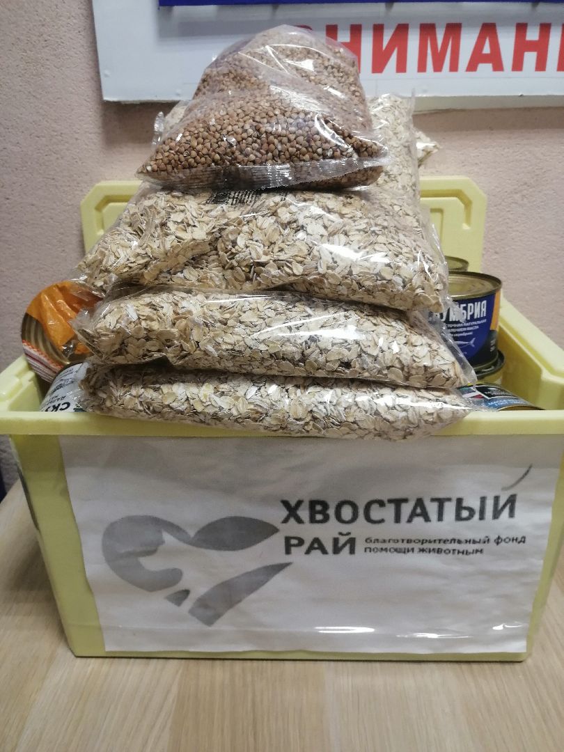 хвостатыйрай, благотворительность, дети, Протвино