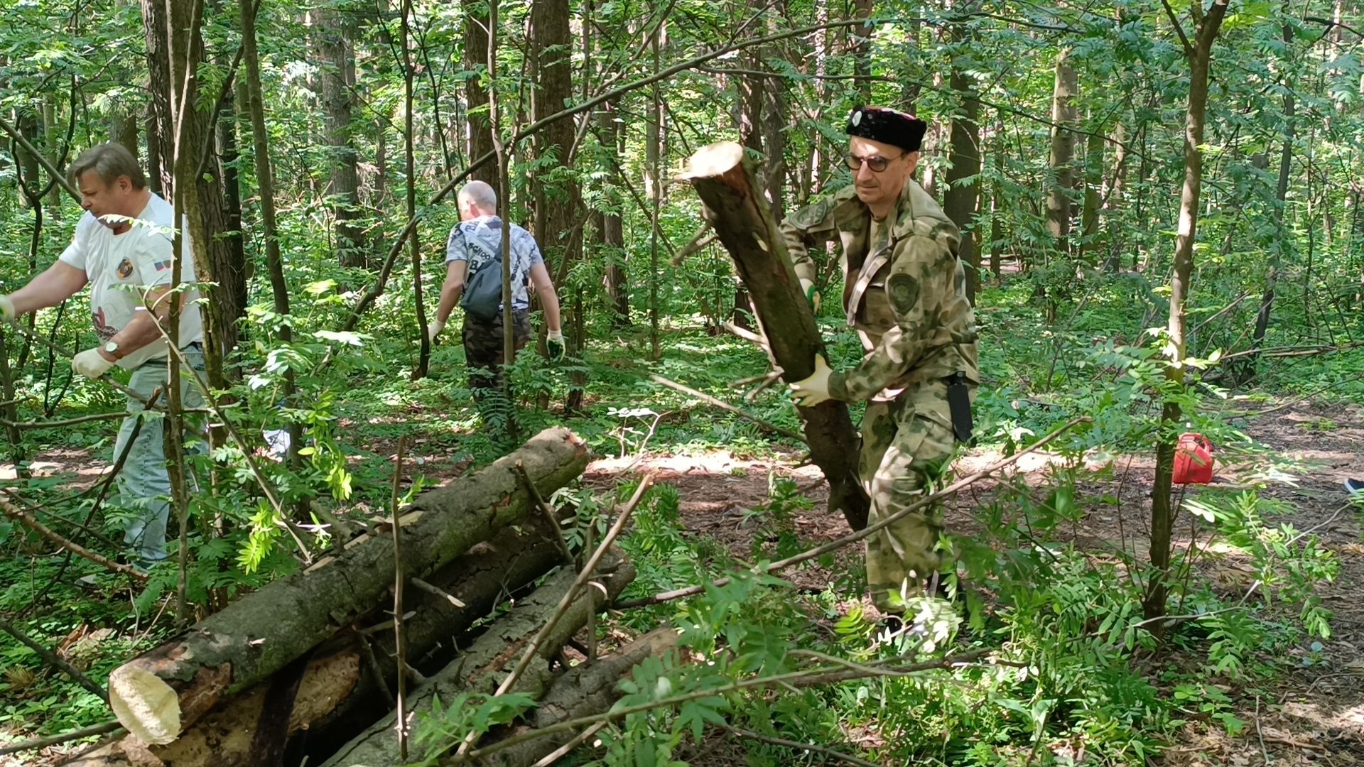 чистый лес, лобня, экология, казаки,