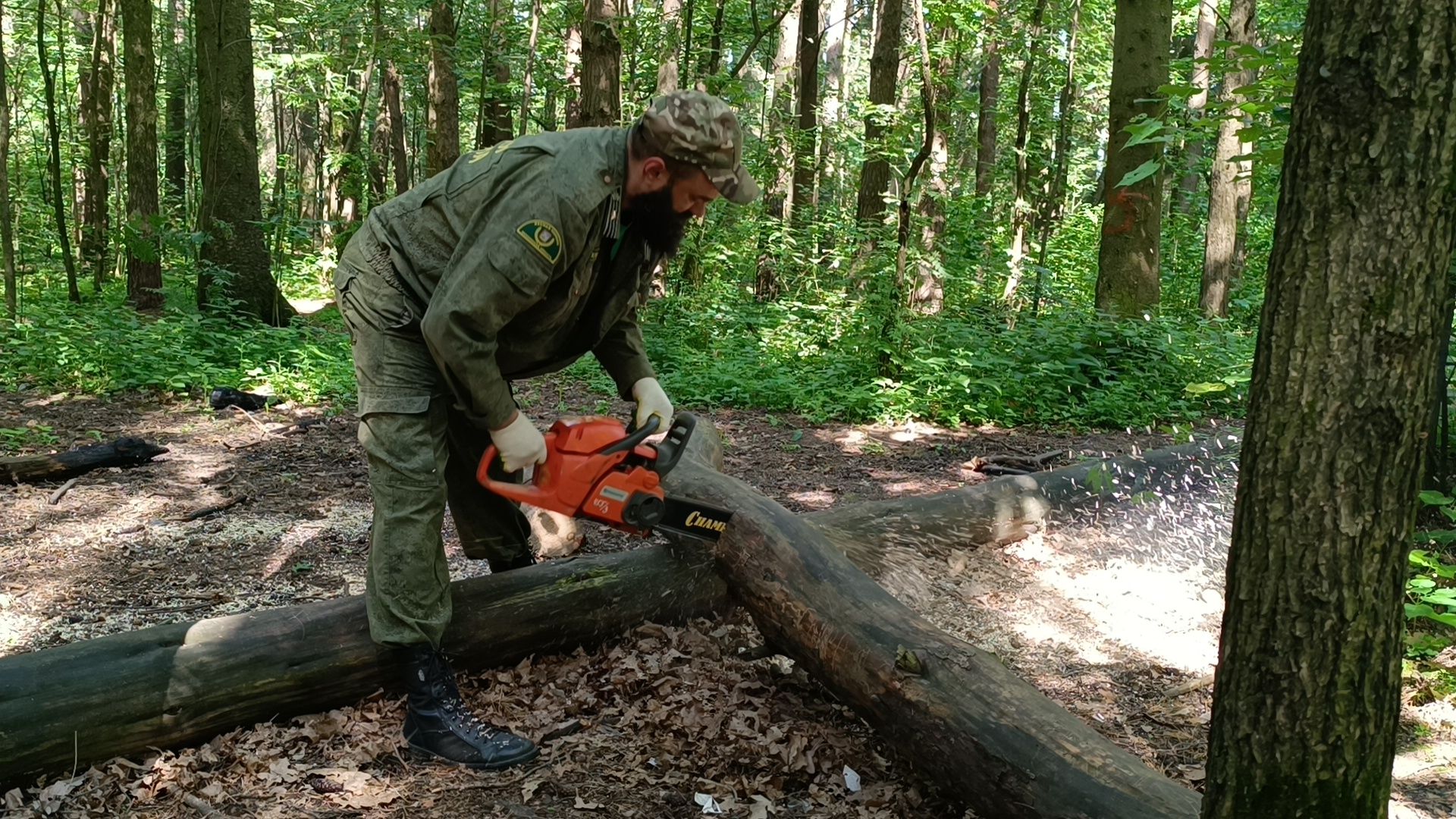 чистый лес, лобня, экология, казаки,