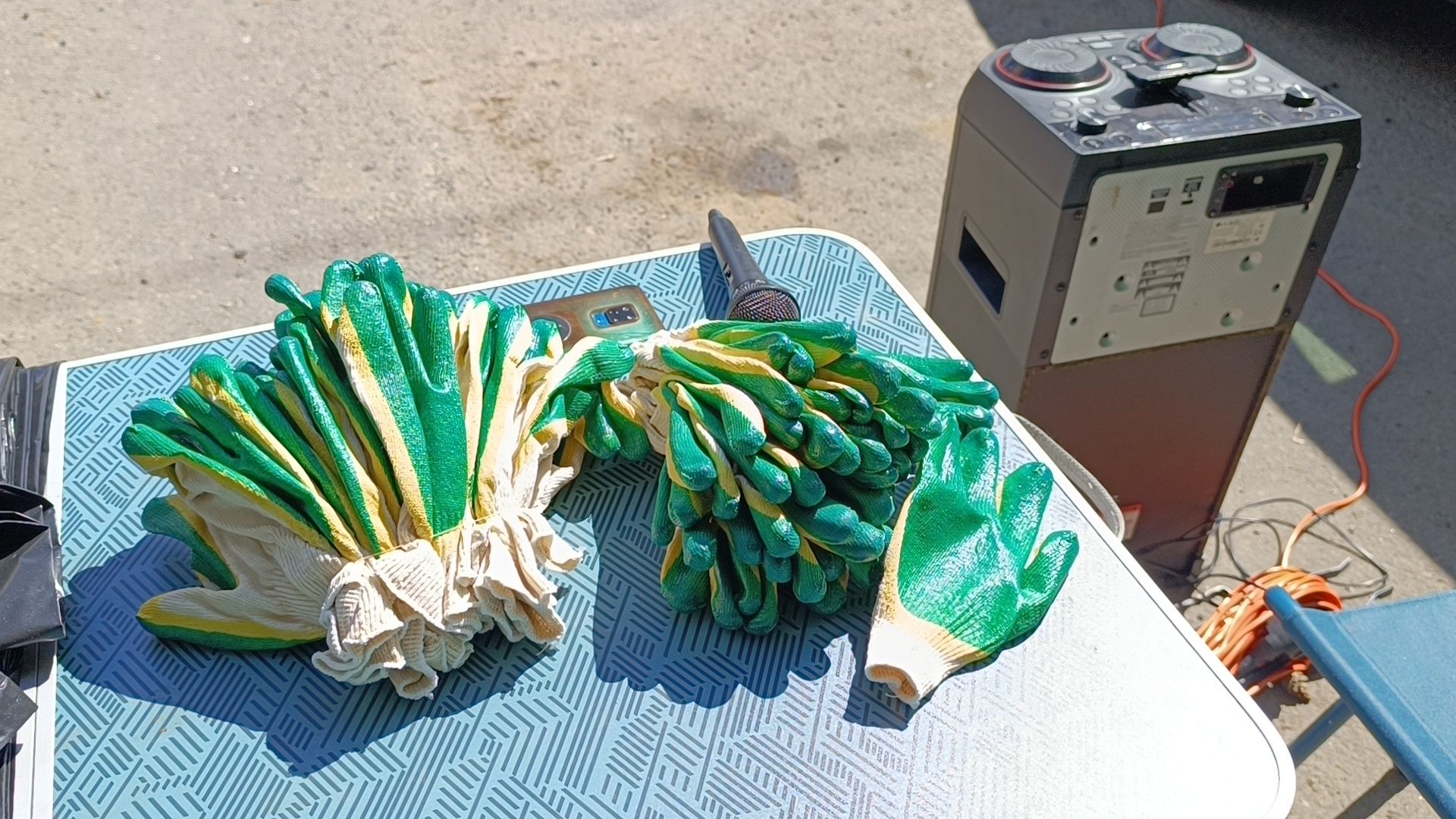 чистый лес, лобня, экология, казаки,