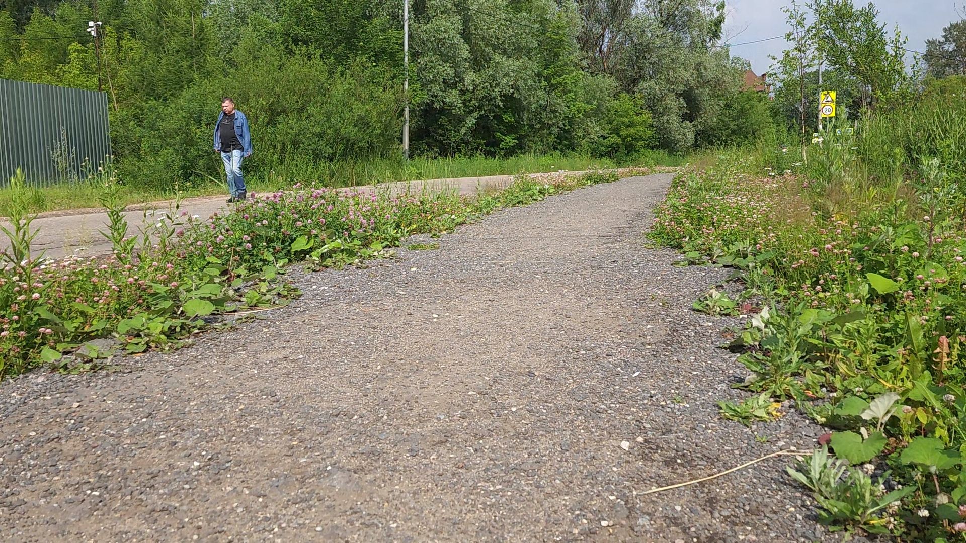 Одинцово, жаворонки, пешком, губернаторская программа,