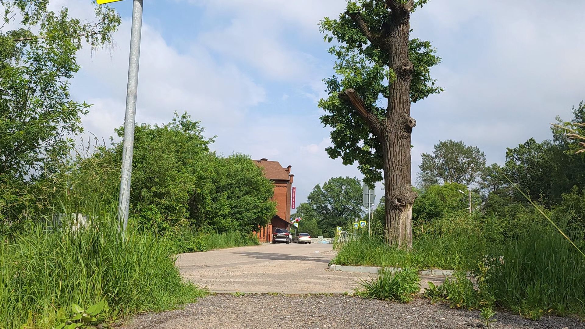 Одинцово, жаворонки, пешком, губернаторская программа,