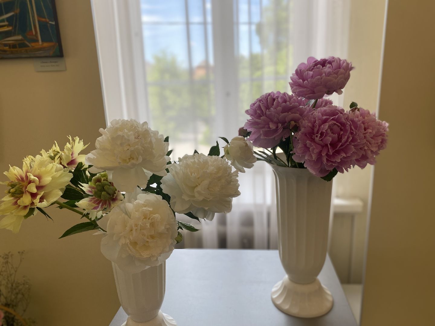 цветы, коломна