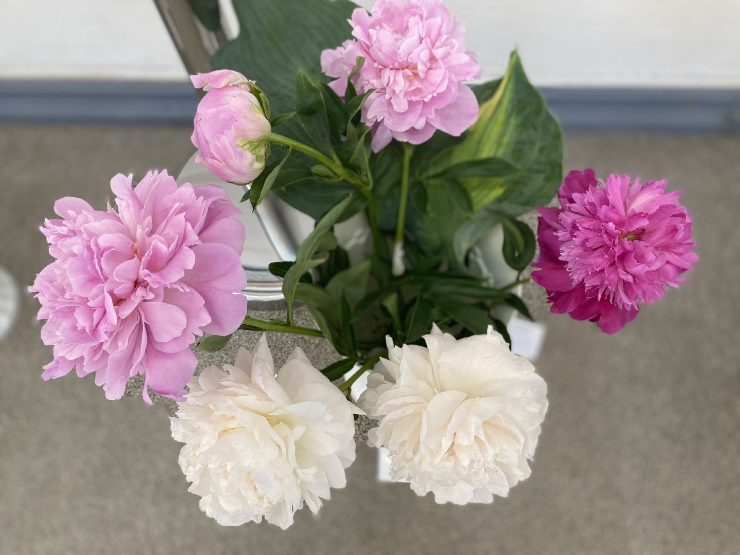 цветы, коломна