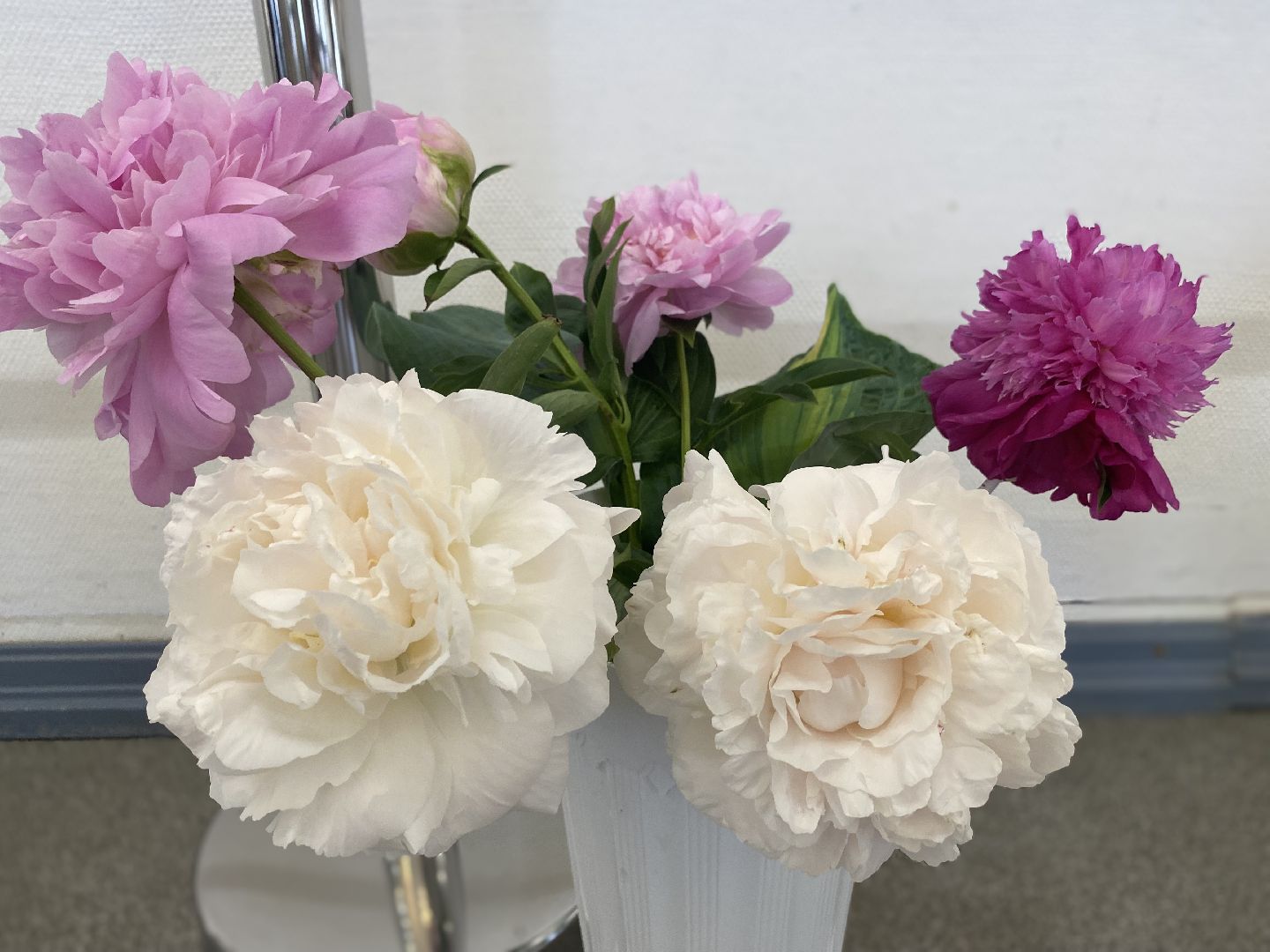 цветы, коломна