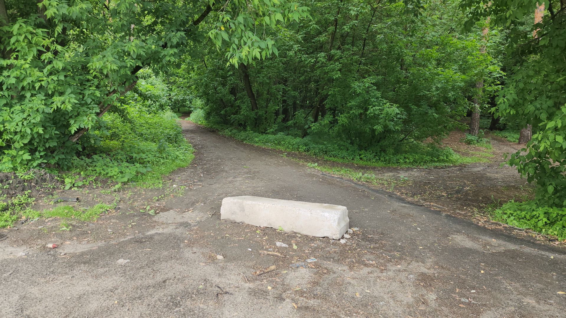 противопожарный режим, особый режим, разведение костров, леса, жуковский,