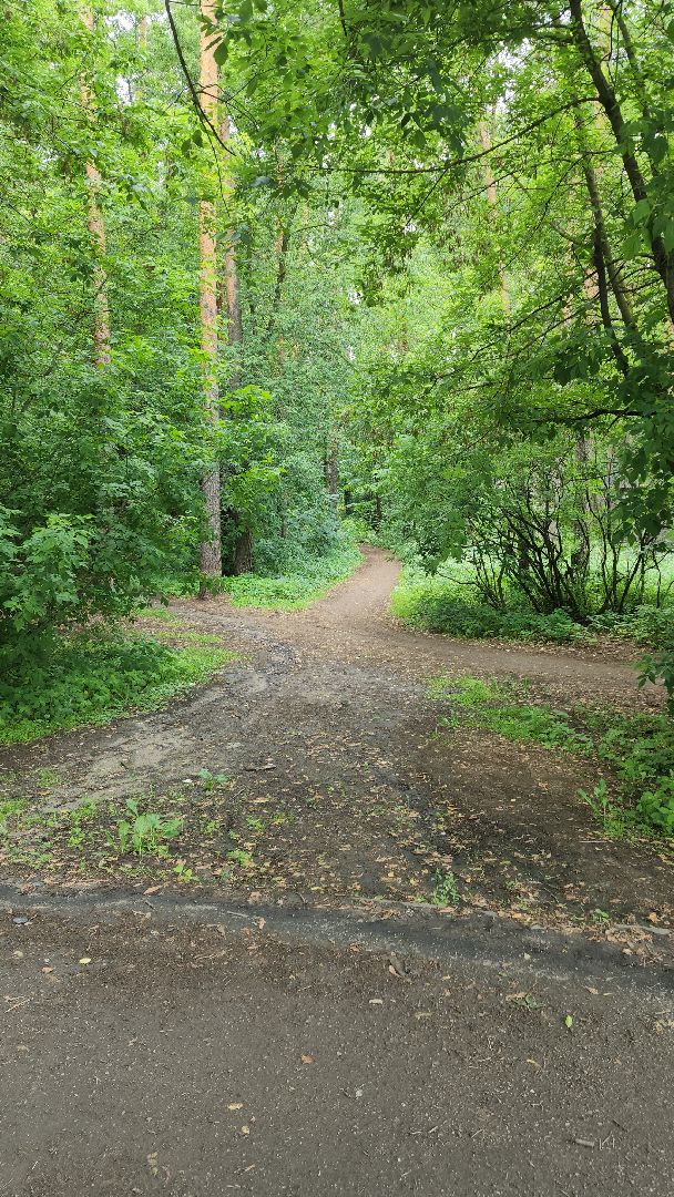 противопожарный режим, особый режим, разведение костров, леса, жуковский,