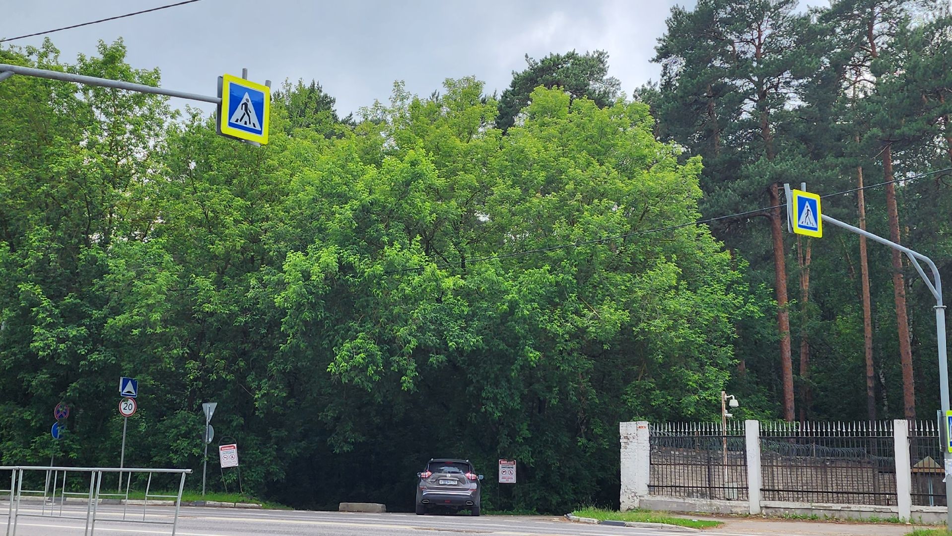 противопожарный режим, особый режим, разведение костров, леса, жуковский,