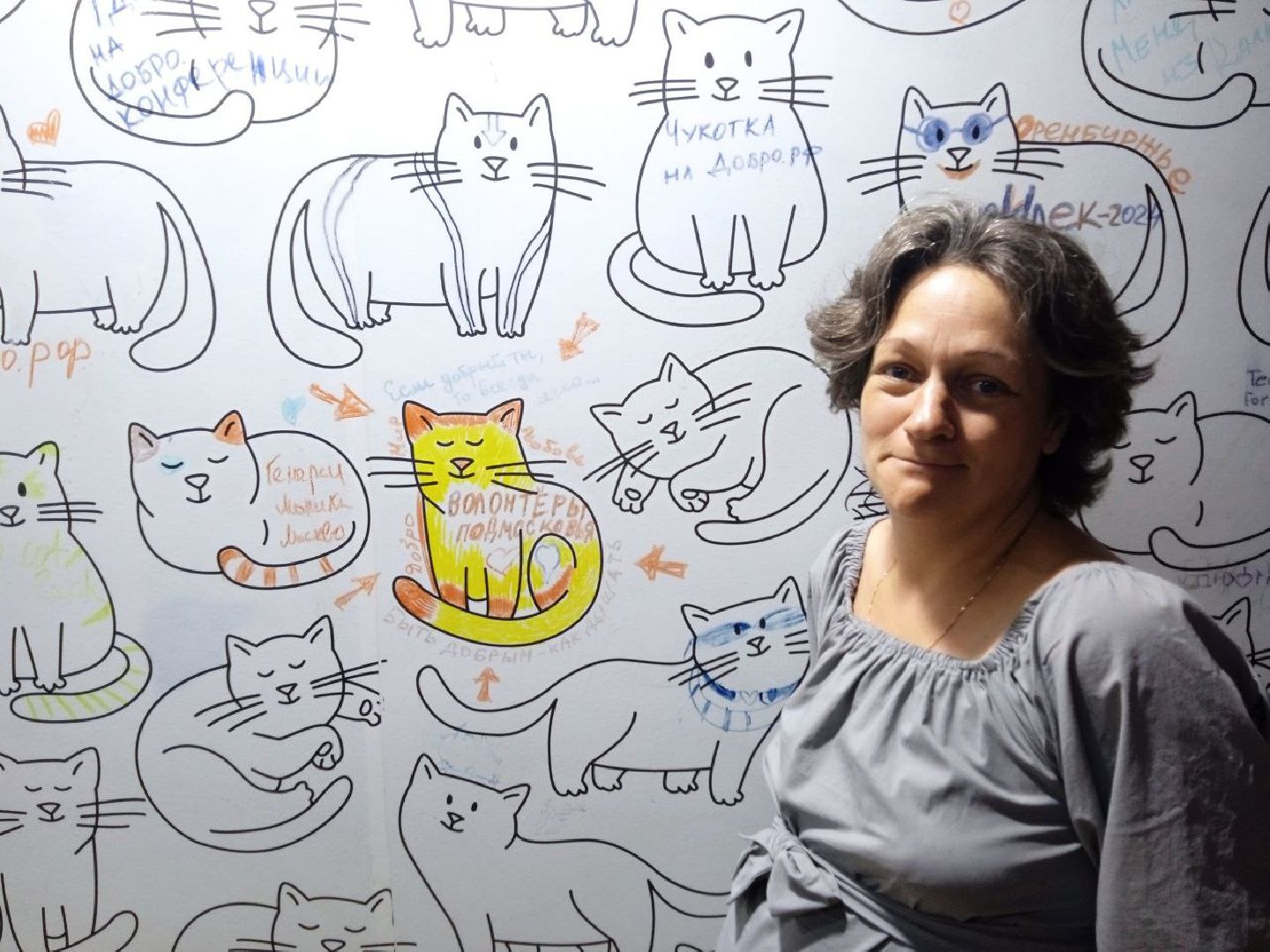 Балашиха, Подмосковье, Волонтеры, Доброцентр,