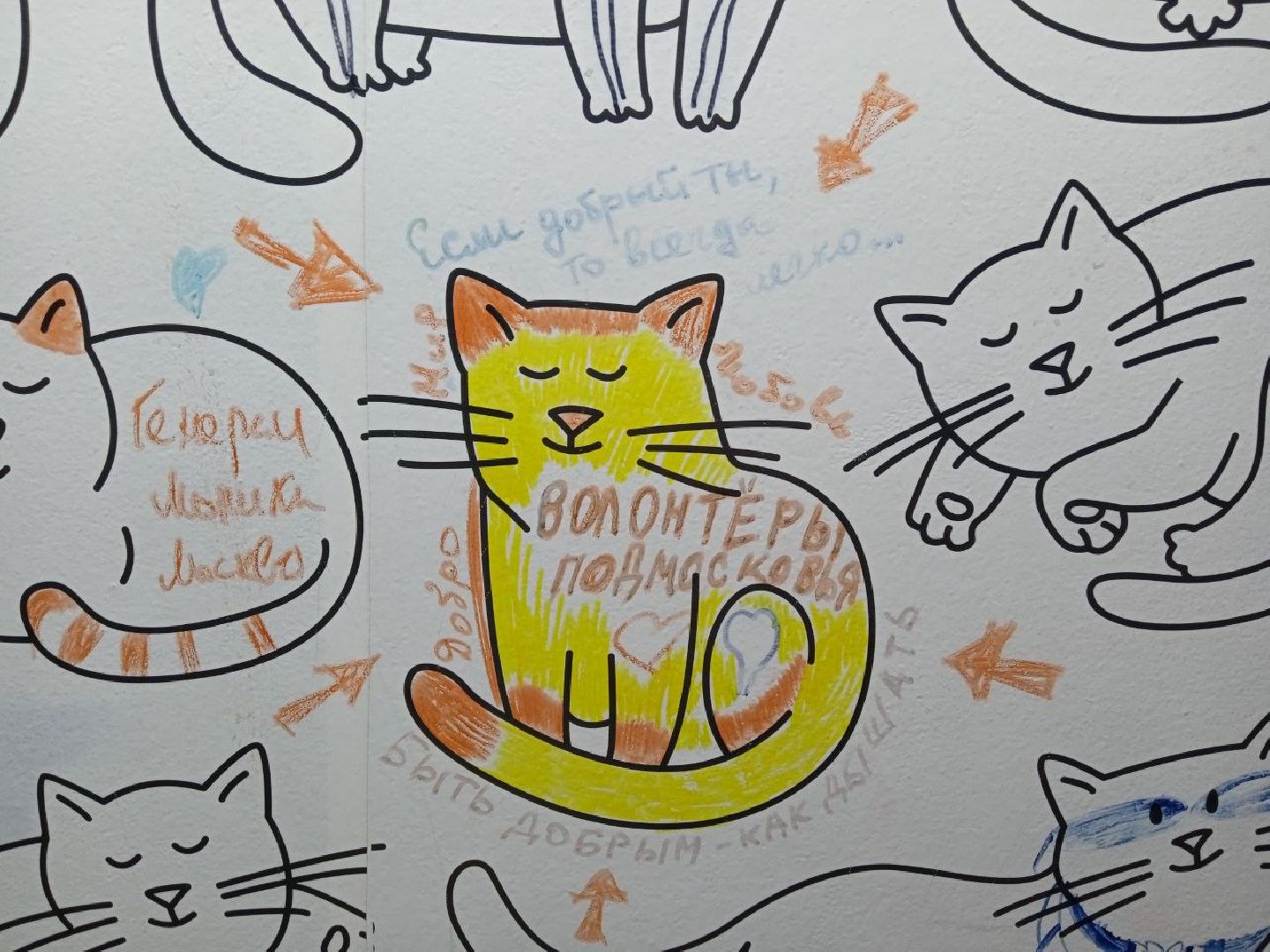 Балашиха, Подмосковье, Волонтеры, Доброцентр,