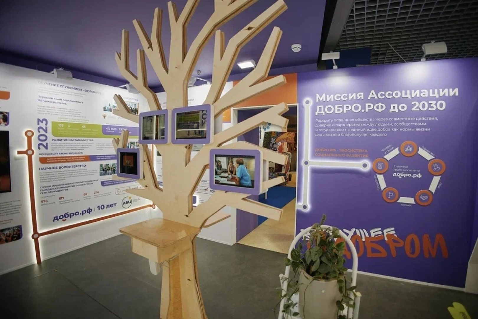 Балашиха, Подмосковье, Волонтеры, Доброцентр,