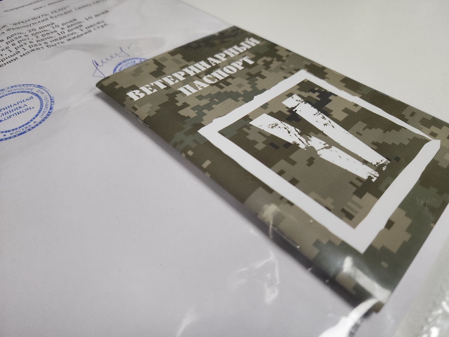 красногорск, приют, волонтеры, французский бульдог, собаки,