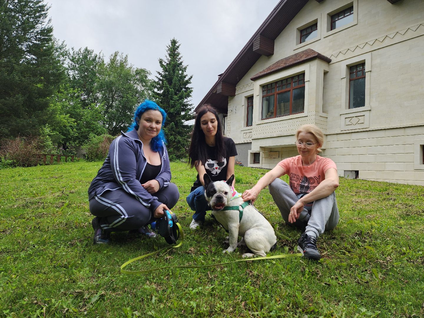 красногорск, приют, волонтеры, французский бульдог, собаки,
