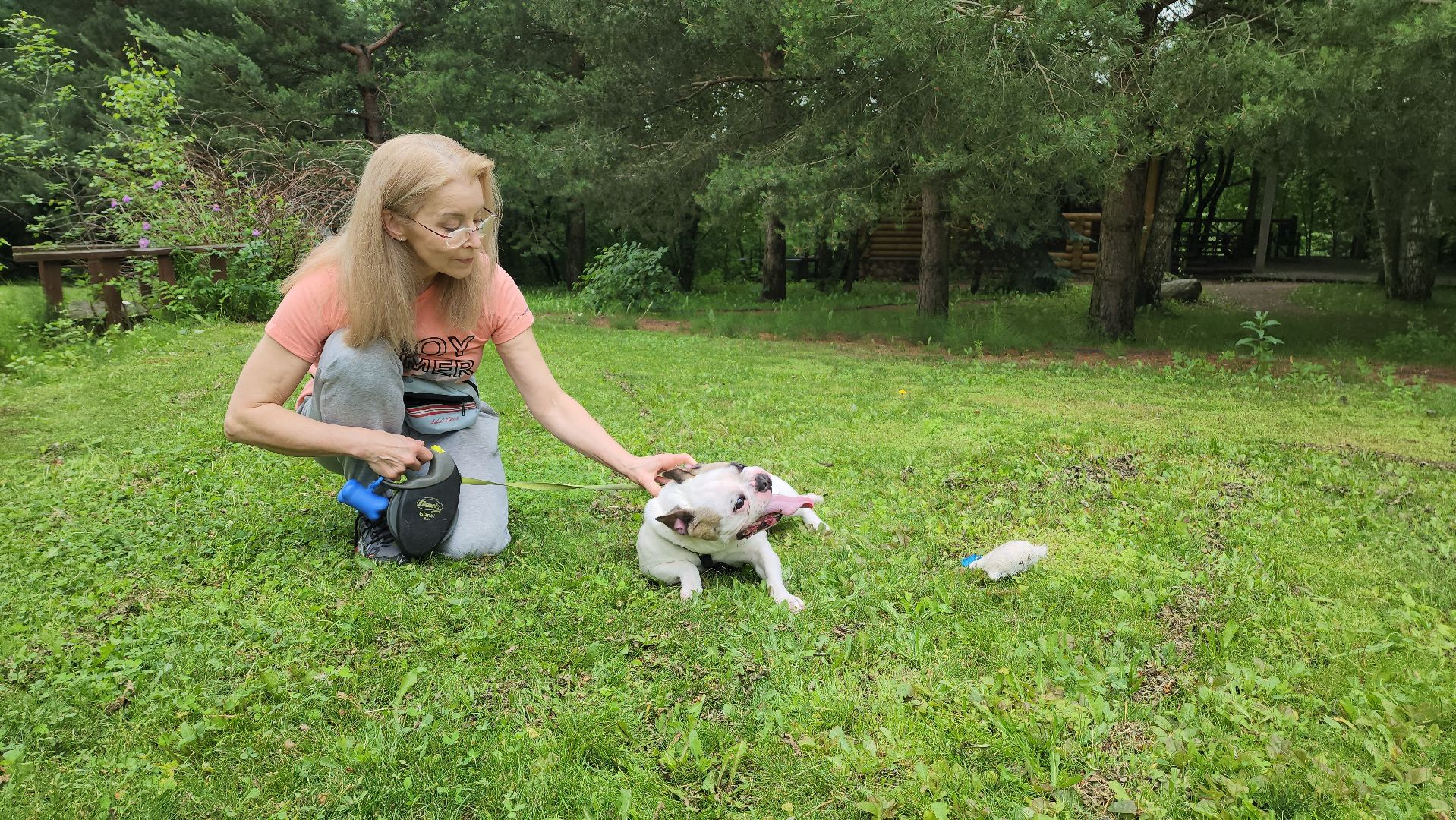 красногорск, приют, волонтеры, французский бульдог, собаки,