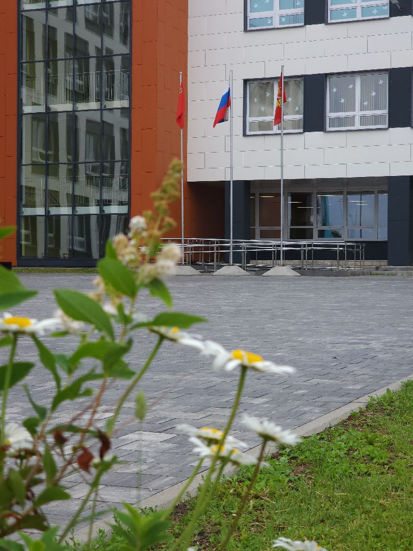 электросталь, мой город, образование, образование подмосковья, пришкольный лагерь, летний лагерь, летний досуг, летний отдых, гимназия,