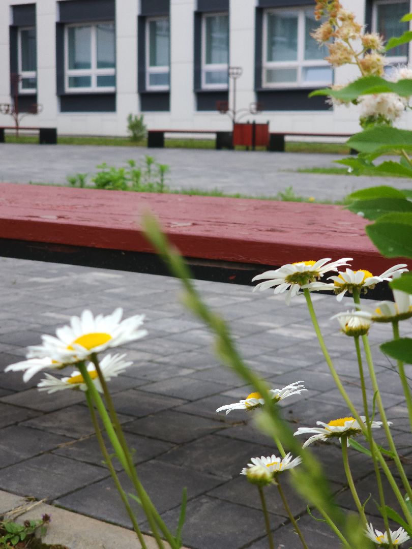 электросталь, мой город, образование, образование подмосковья, пришкольный лагерь, летний лагерь, летний досуг, летний отдых, гимназия,