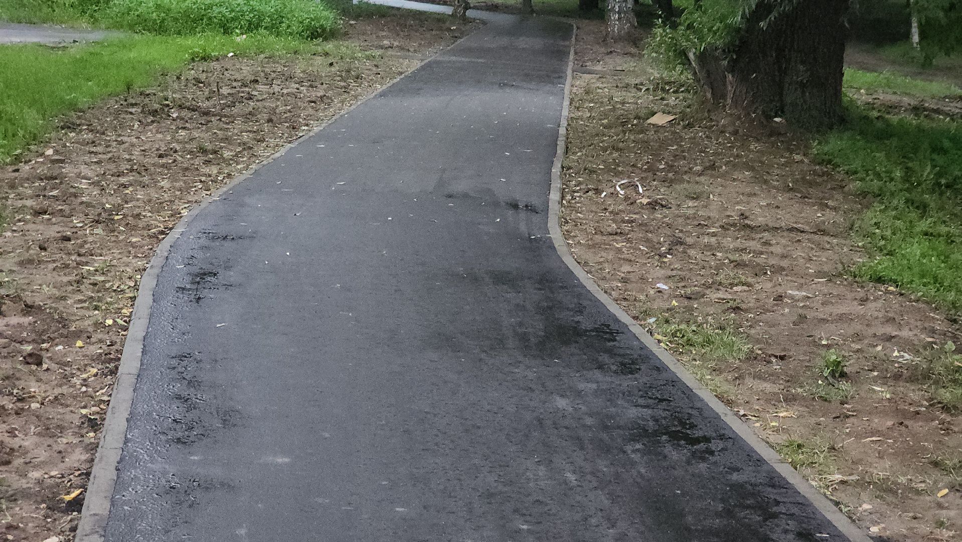 долгопрудный, народные тропы, благоустройство, пешеходная дорожка, асфальт,