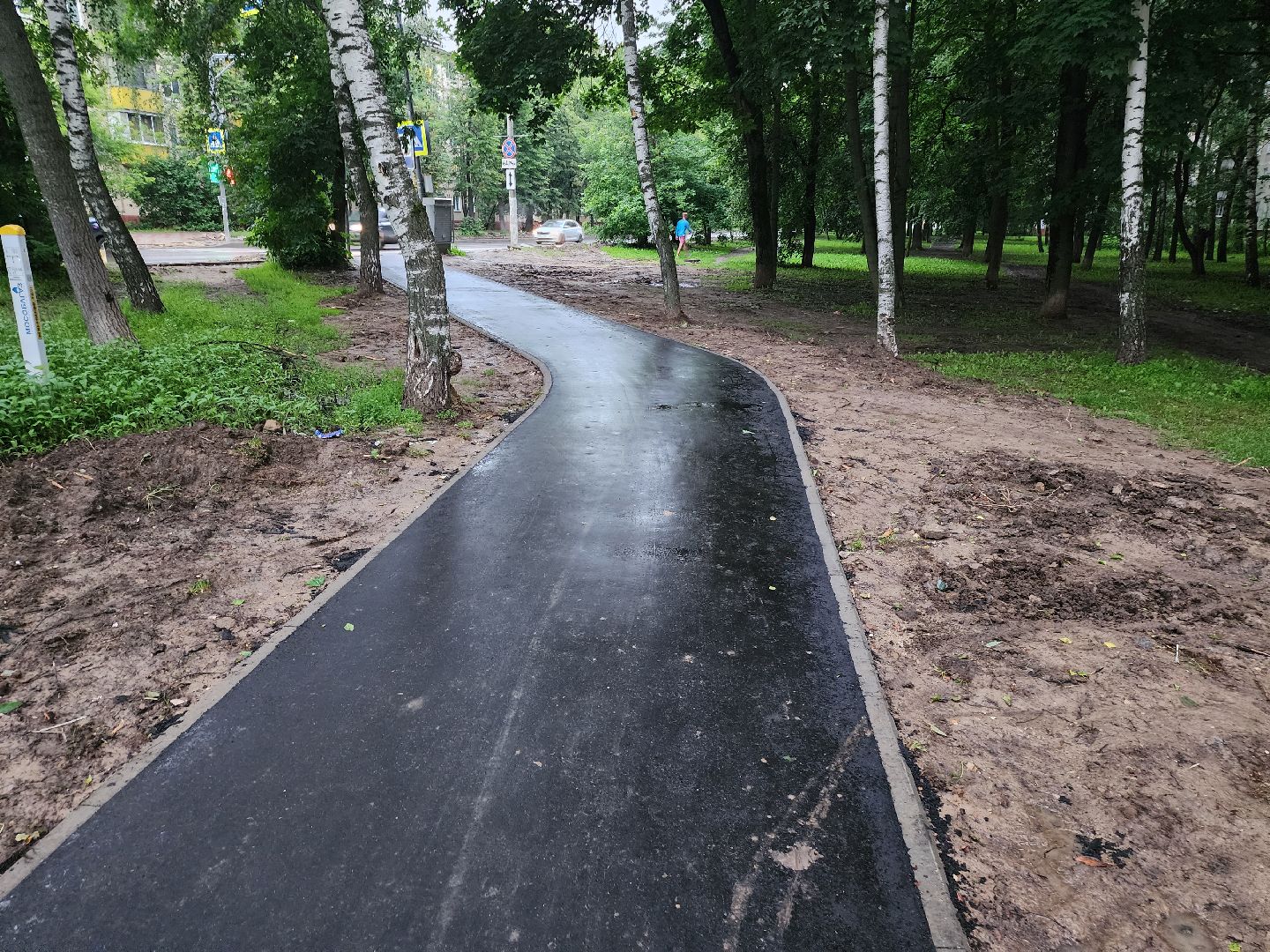 долгопрудный, народные тропы, благоустройство, пешеходная дорожка, асфальт,