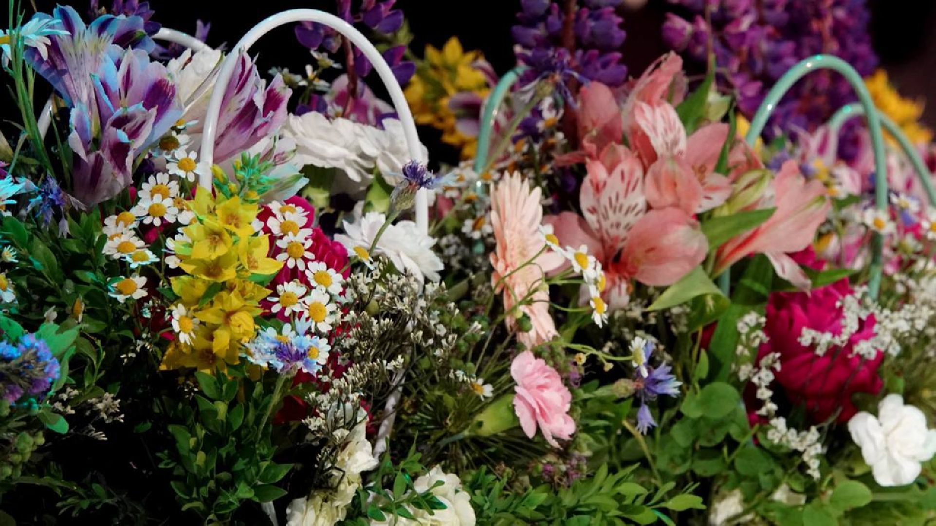 Культура, Сергиево-Посадский городской округ, Сергиев Посад, Театр, Театральный ковчег в Дубраве, Драматический театр, Победители,