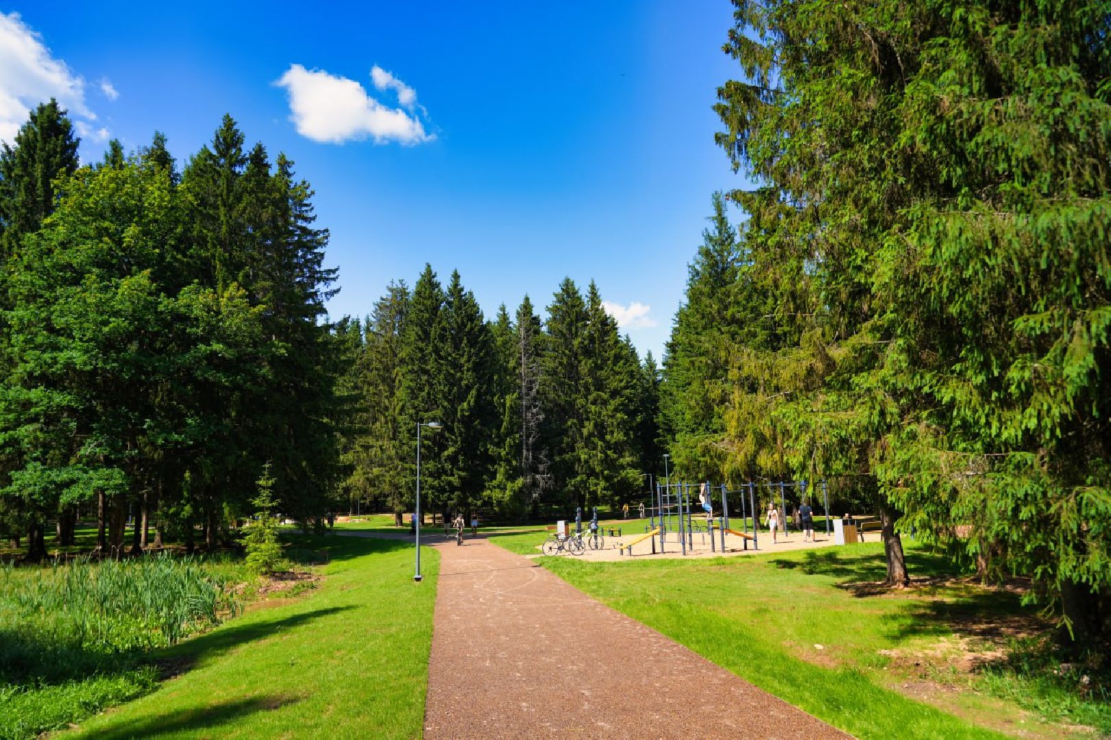 Сергиев Посад, Парки в лесу, Сергиево-Посадский городской округ, Лесопарк, Благоустройство, Загорское море,