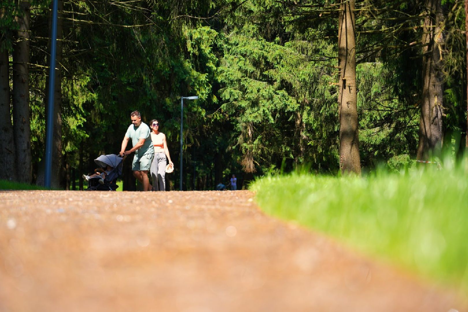 Сергиев Посад, Парки в лесу, Сергиево-Посадский городской округ, Лесопарк, Благоустройство, Загорское море,