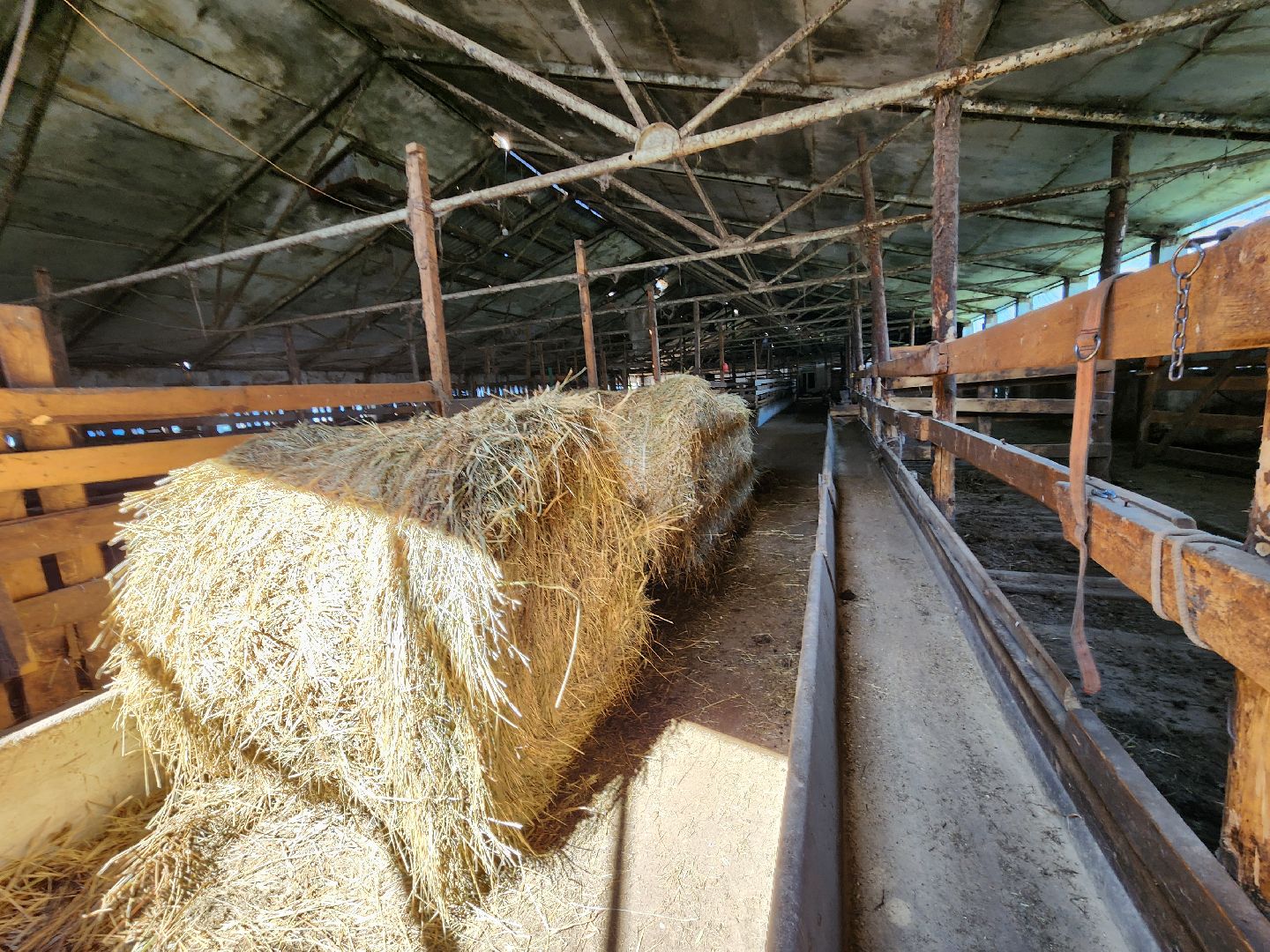 Сельское хозяйство, ферма, грант, московская область, Подмосковье, Руза, Рузский округ,