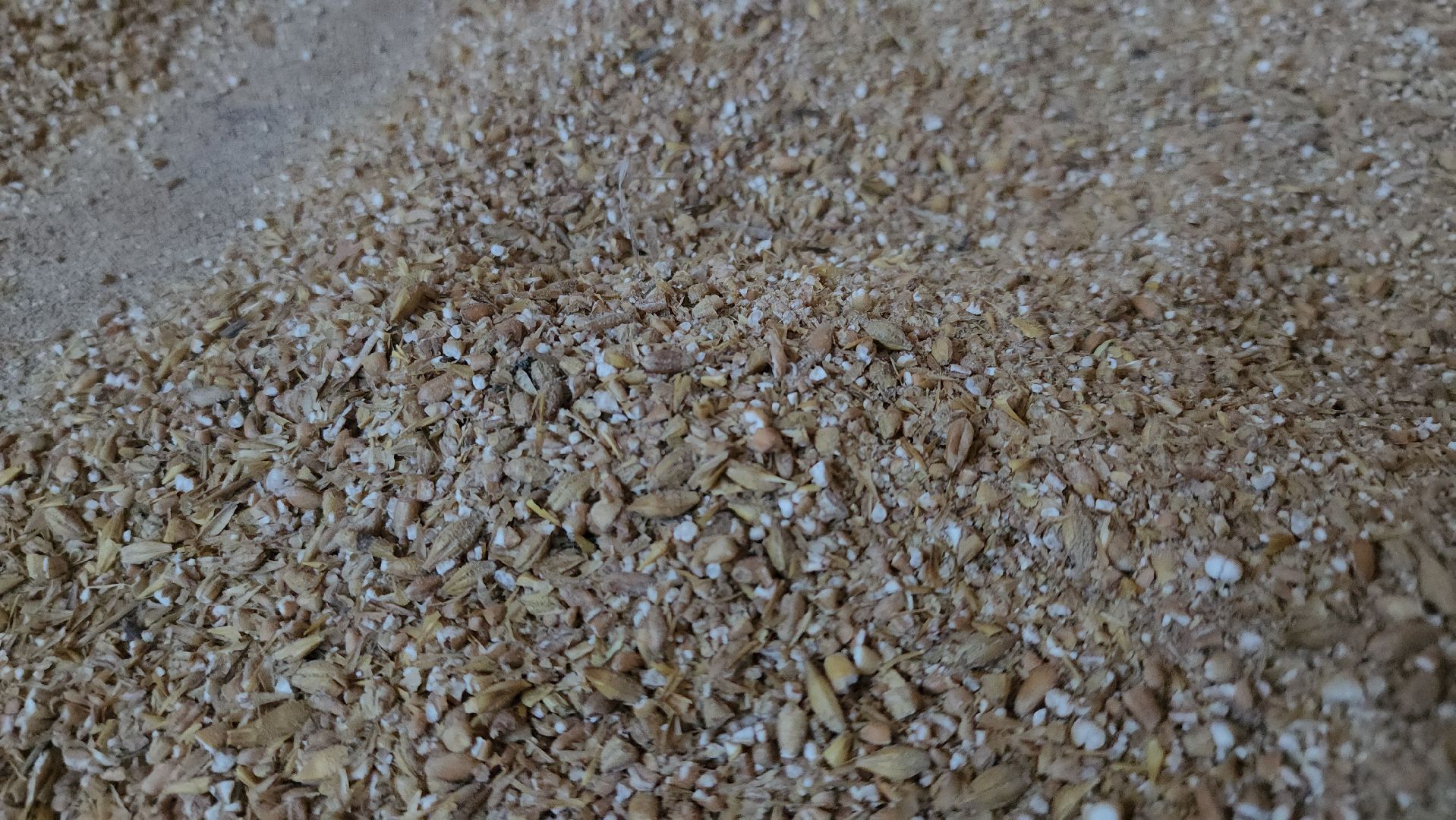 Сельское хозяйство, ферма, грант, московская область, Подмосковье, Руза, Рузский округ,