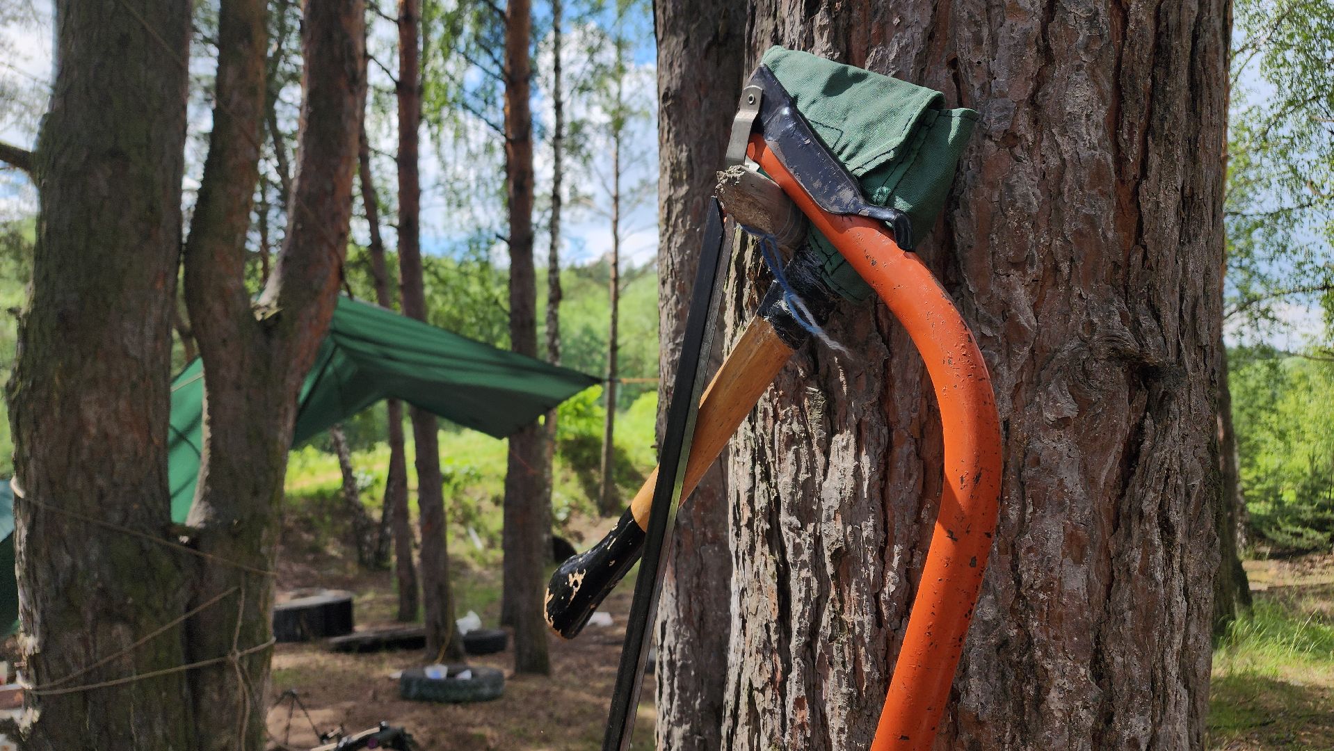 ступино, лето в подмосковье, летний отдых,