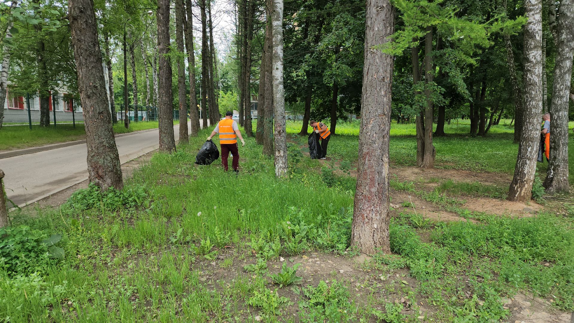 пушкино, благоустройство, уборка мусора, зоны отдыха,