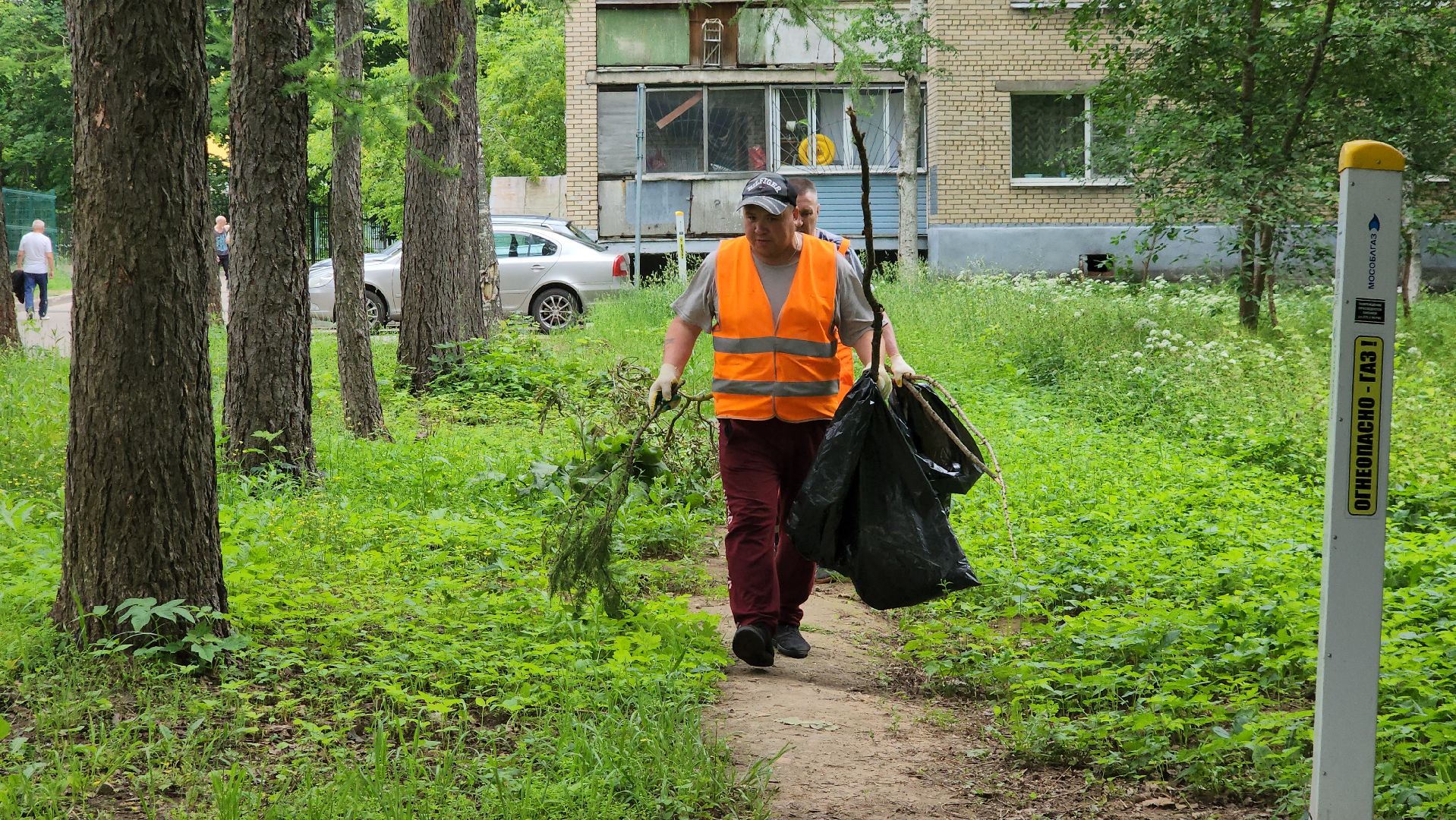 пушкино, благоустройство, уборка мусора, зоны отдыха,