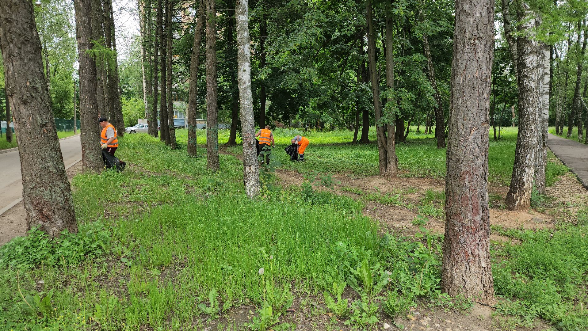 пушкино, благоустройство, уборка мусора, зоны отдыха,