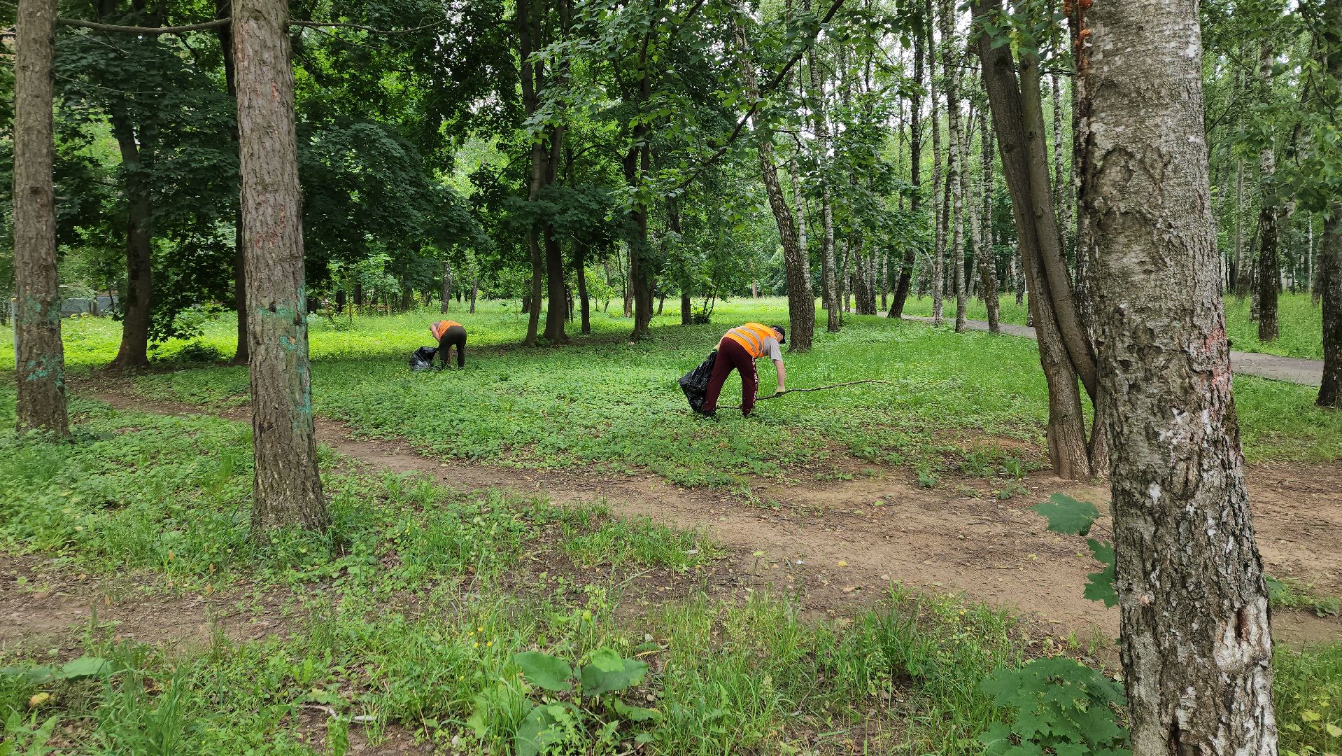 пушкино, благоустройство, уборка мусора, зоны отдыха,