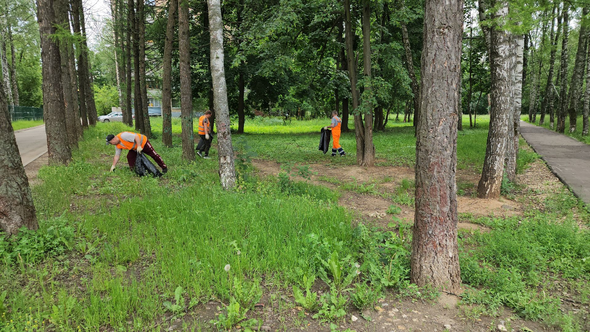 пушкино, благоустройство, уборка мусора, зоны отдыха,