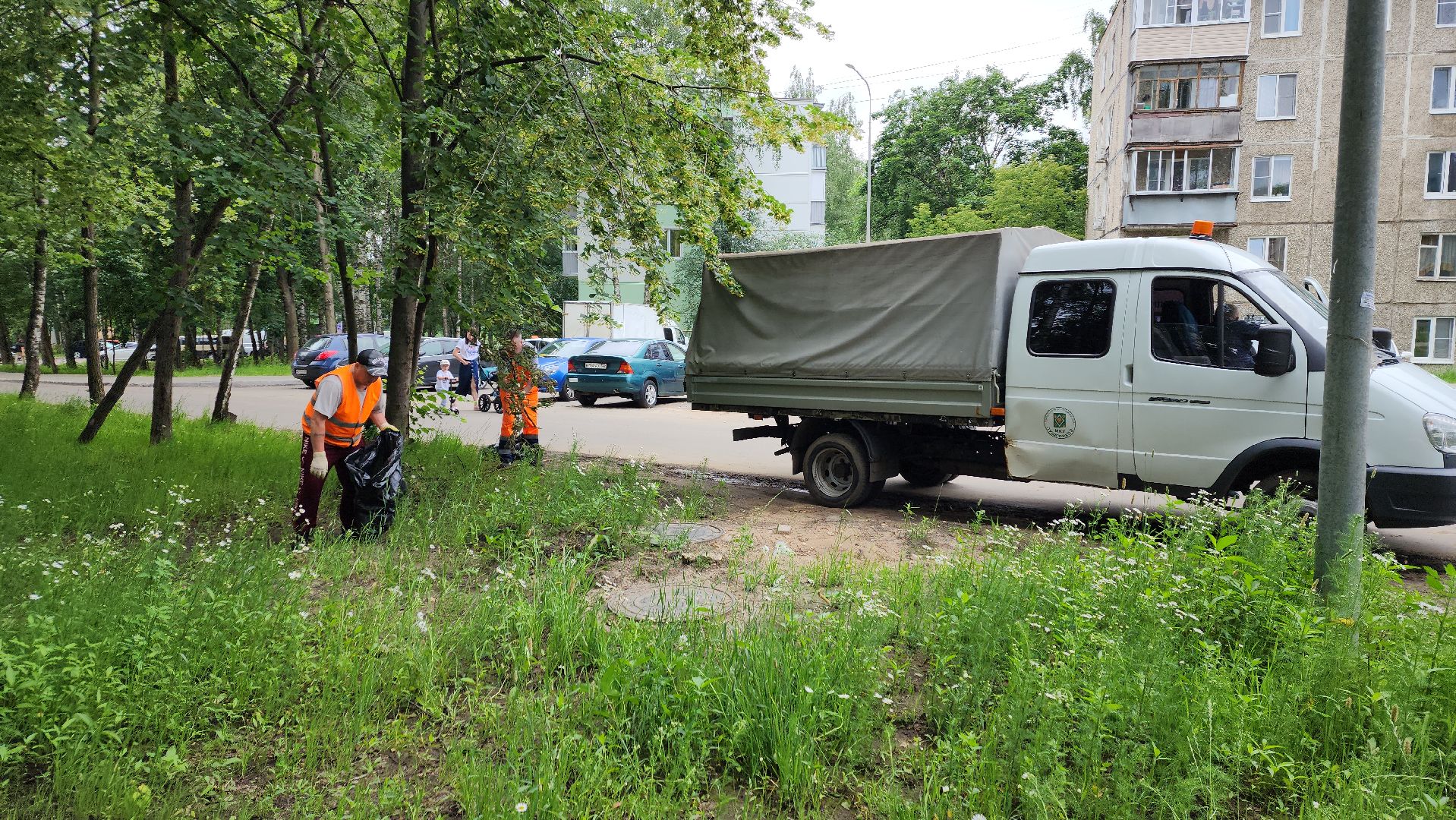 пушкино, благоустройство, уборка мусора, зоны отдыха,
