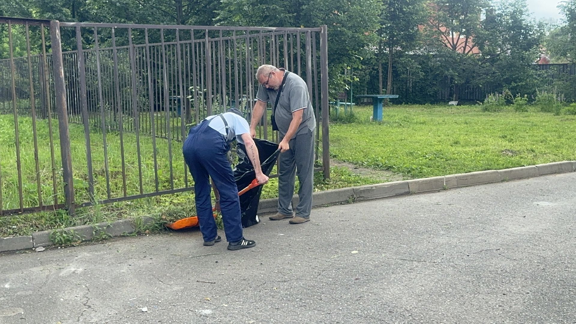 Солнечногорск, благоустройсво, уборка дворов, покос травы, промывка дорог,