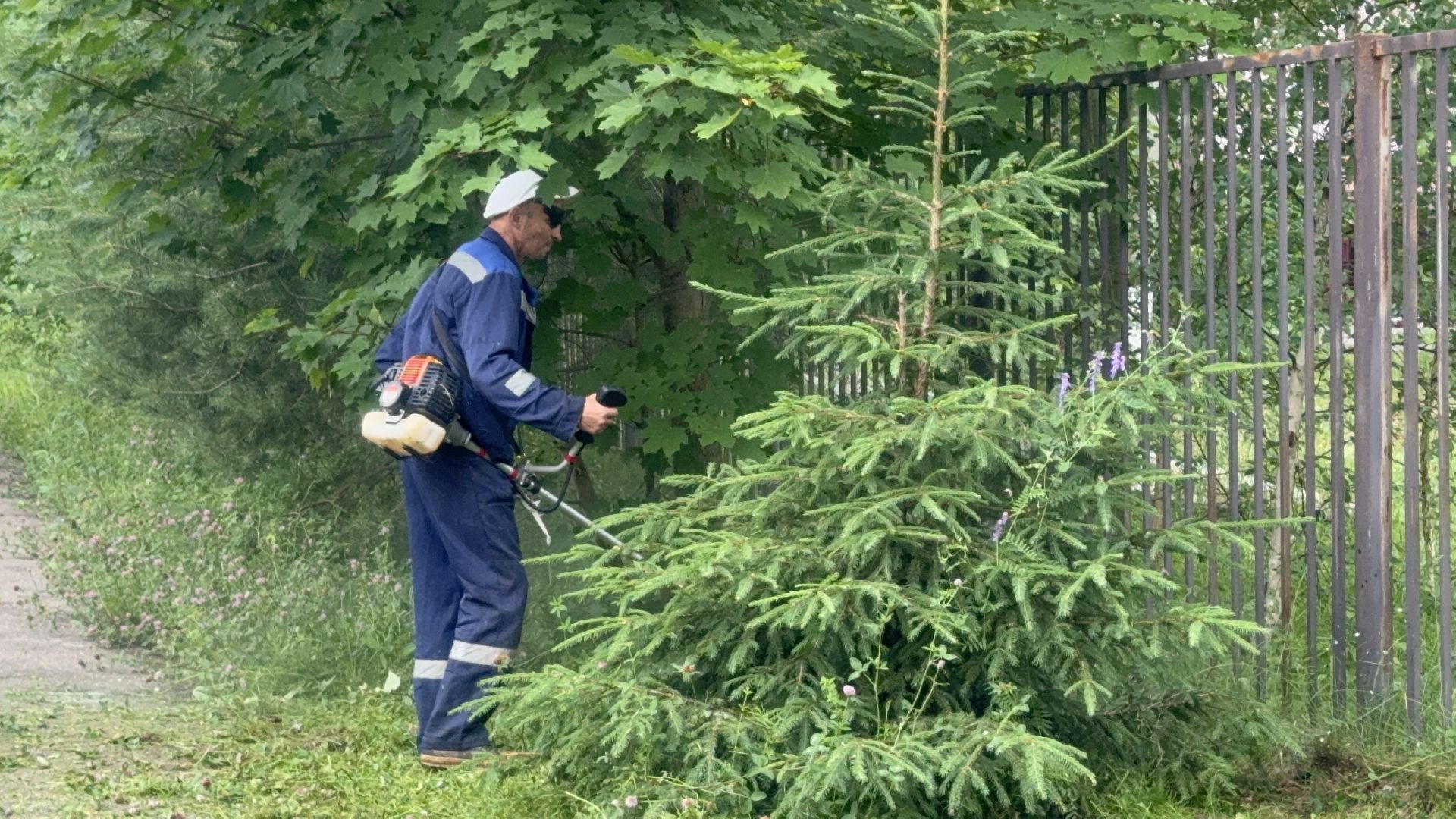 Солнечногорск, благоустройсво, уборка дворов, покос травы, промывка дорог,