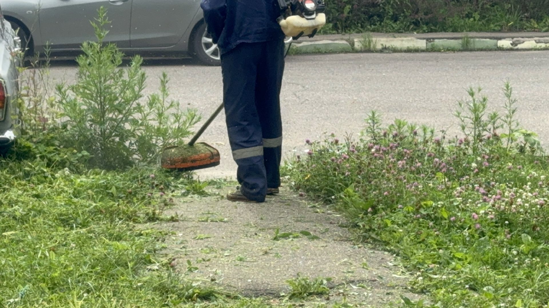 Солнечногорск, благоустройсво, уборка дворов, покос травы, промывка дорог,