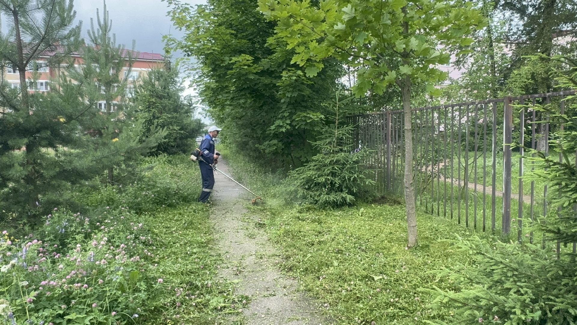 Солнечногорск, благоустройсво, уборка дворов, покос травы, промывка дорог,
