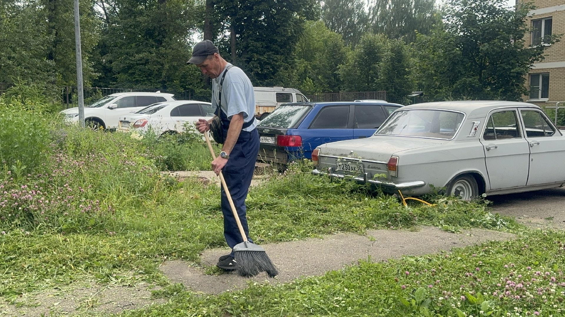 Солнечногорск, благоустройсво, уборка дворов, покос травы, промывка дорог,