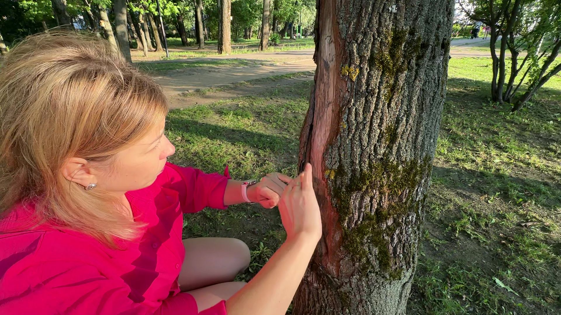 Реутов, парк, спаси дерево, рисунки, художник,